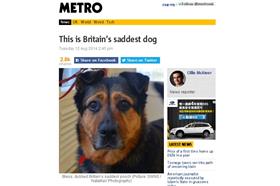 世界最憂鬱的狗1