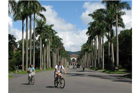 台灣大學、台大、椰林－台灣大學臉書