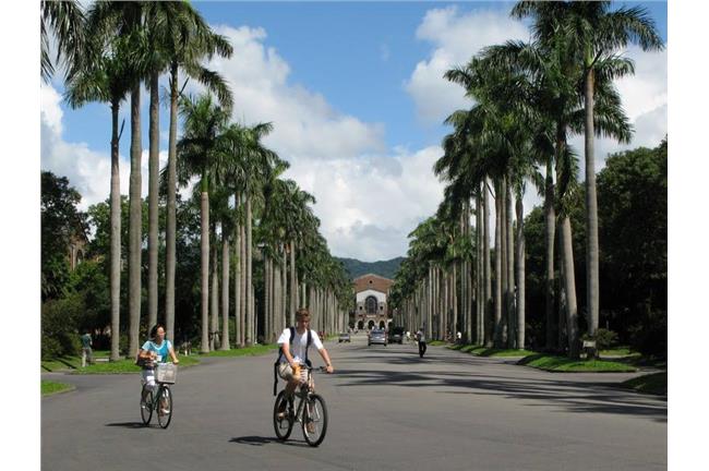 校園違建多？國立大學共711件