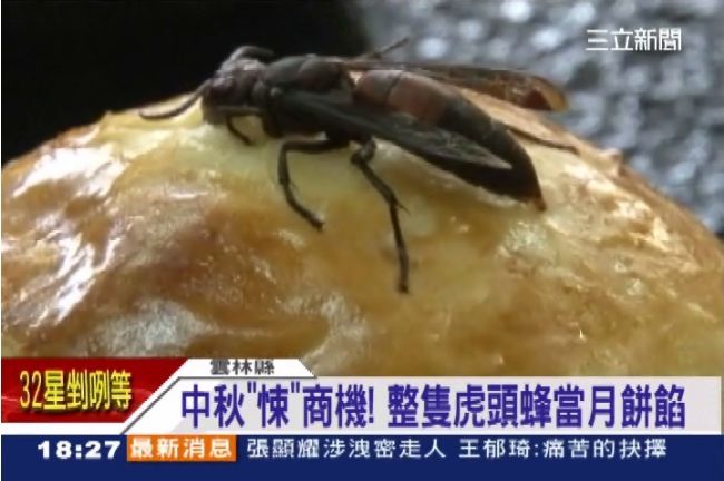 中秋驚悚新滋味！整隻虎頭蜂當月餅餡