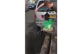 冰桶挑戰虐狗▲圖／翻攝自YouTube