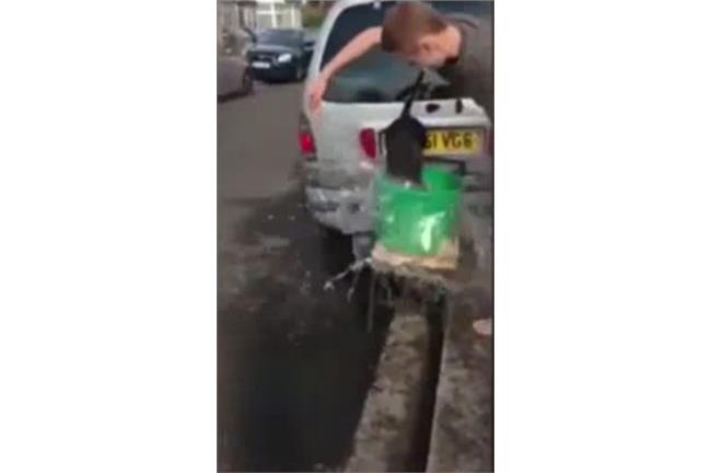 影／最殘忍冰桶挑戰　小狗遭虐甩拋