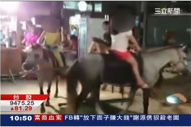 夜市旋轉「活」馬　網友痛批呼籲拒騎
