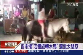 活體旋轉馬1800