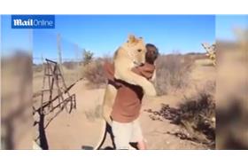 母獅抱抱／youtube