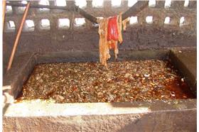 地溝油_翻攝致癌食品百科(大陸網站)