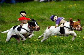 狗-flickr Garry Knight