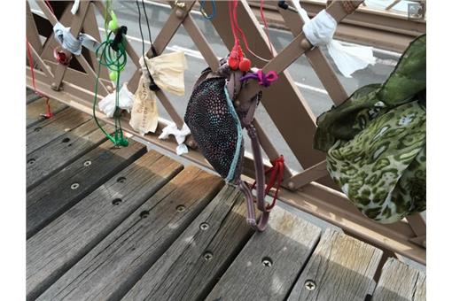 布魯克林愛情橋_nydailynews