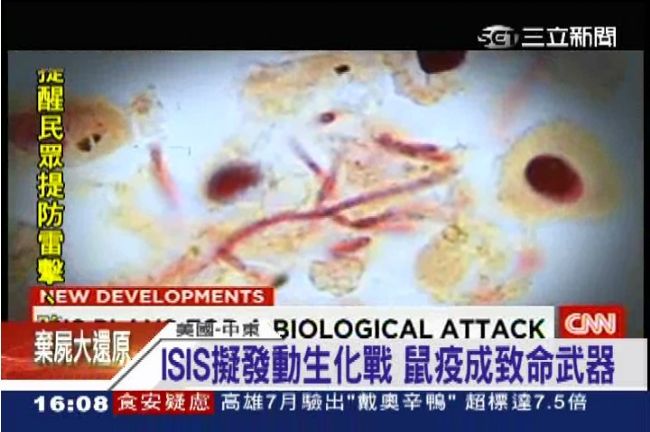 積極佈陣？ISIS恐發動生化戰