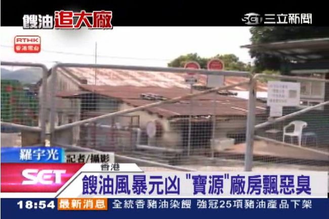 港「金寶運」偽造文書　飼料油賣強冠