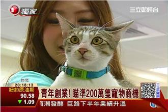 毛孩不見了！項圈掃FB　快速找主人