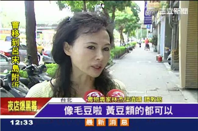 自炸豬油最健康？　林杰樑妻：不一定