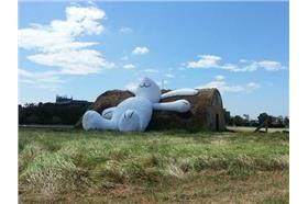 霍夫曼的月兔_讀者提供