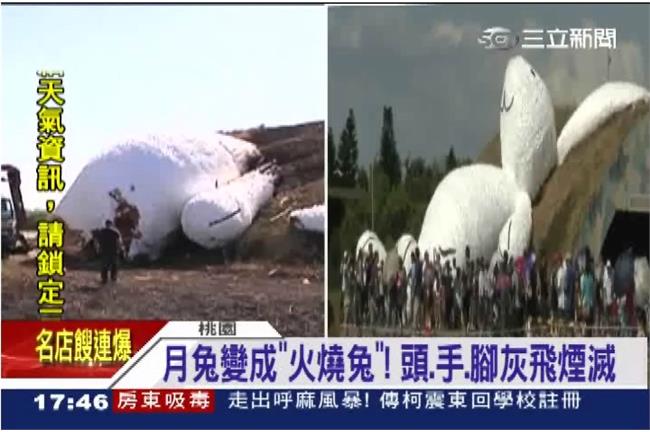 天熱？拆除不慎？月兔燬一秒變蘿蔔