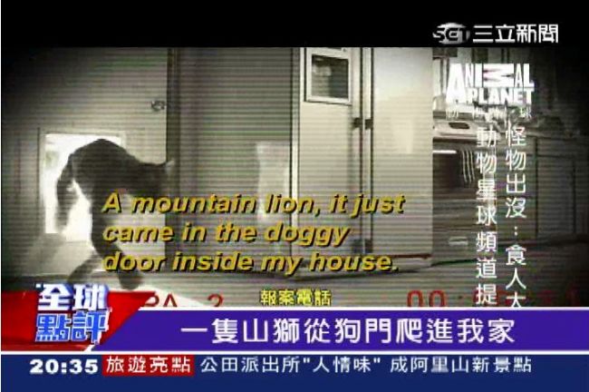 入侵民宅噬人　美國上演陰「獅」路