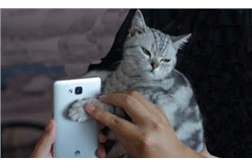 外稿（圖／天才小熊貓