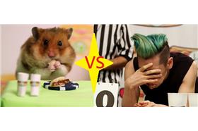 小林尊組圖_YouTube