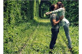 (名家)愛之隧道_卡卡洛普