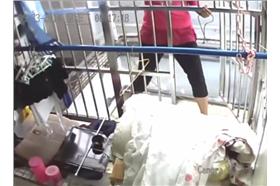 女蜘蛛人爬牆告白／youtube