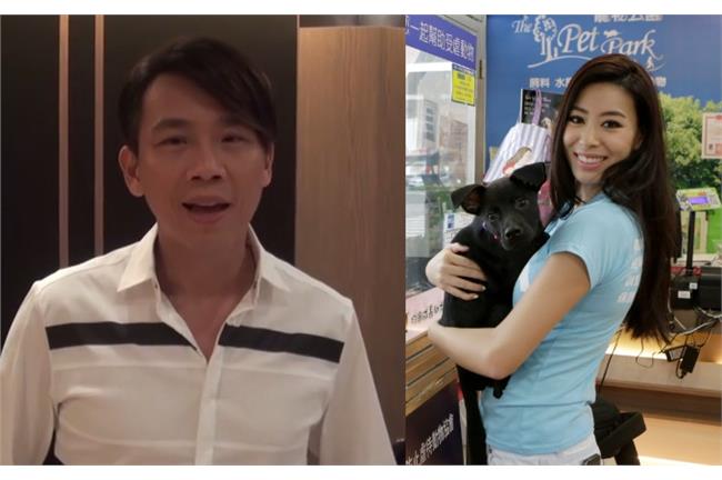 公益音樂會！陶喆邀民一起助受虐動物