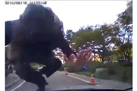 假摔敬業哥／臉書