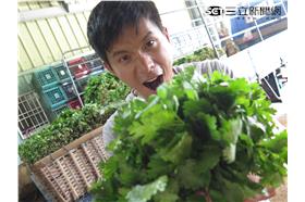 在台灣的故事 西螺