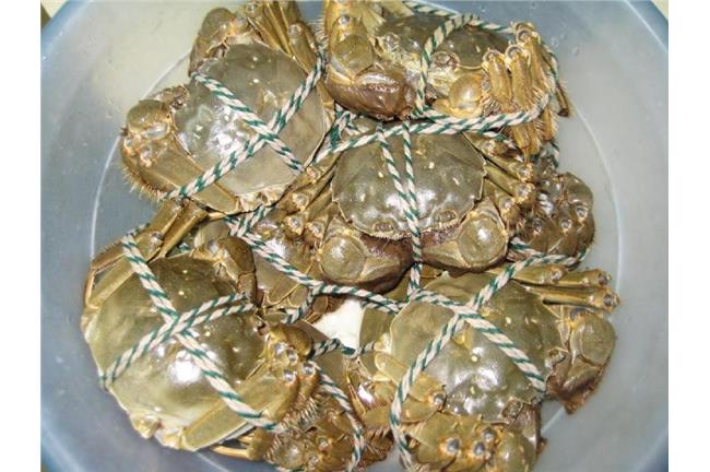 陸認證大閘蟹含禁藥！50噸流入市面