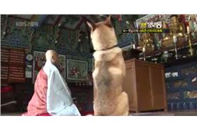 狗狗拜拜／臉書