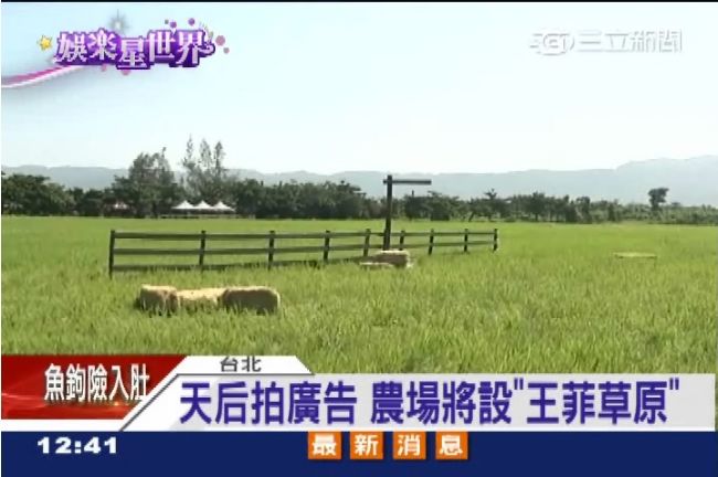 伯朗大道不夠看！「王菲草原」要來了
