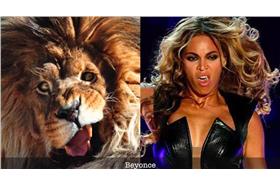 貓咪碧昂絲/翻攝自YouTube