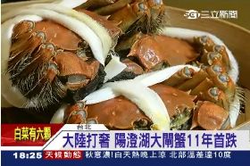 閘蟹九百元1800.