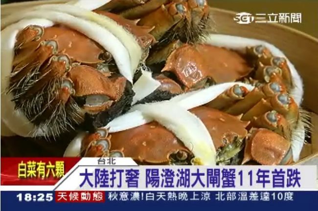 大陸打奢　陽澄湖大閘蟹11年首跌價