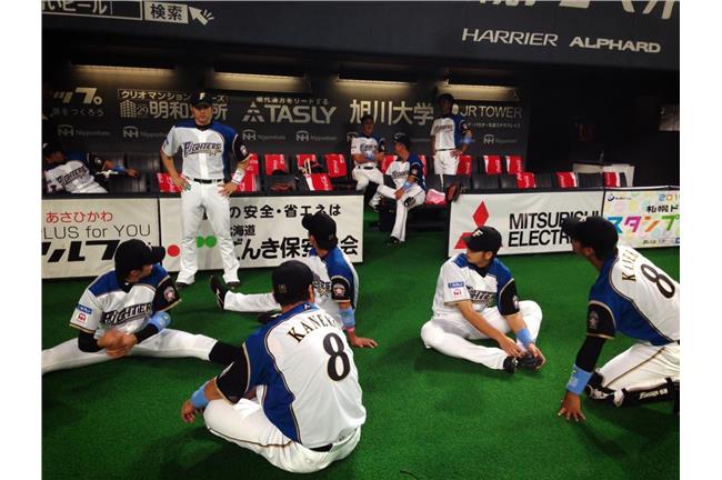 火腿猛打賞連勝！陽岱鋼5支0手感不佳