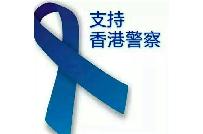 「藍絲帶」怒反佔中　今日上街示威！