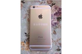 大陸有一名土豪送同學每人一台iPhone6　圖／取自都市快報微博