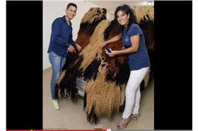 毛茸茸的車_YouTube