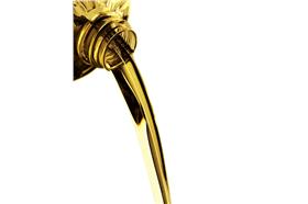 油-flickr-United Soybean Board