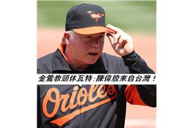 金鶯教頭休瓦特：陳偉殷來自台灣，非中華台北（維基百科）