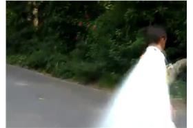 樹獺會飛／臉書