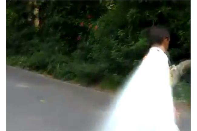 影／神「配樂」！天使大叔發光救樹獺