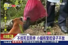 w貓熊哭閨蜜1600