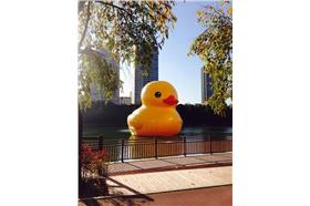 黃色小鴨,韓國（韓國觀光公社臉書）