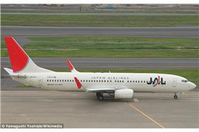 飛機/翻攝自《每日郵報》