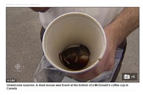 杯底有老鼠-每日郵報