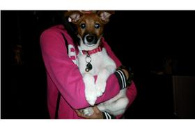 被謔狗／翻攝自18巷香草花園