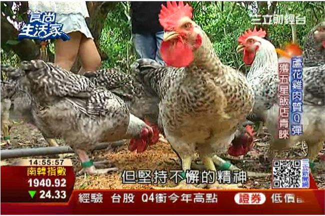 「會喝酒的雞」頂級蘆花雞！Q彈鮮嫩
