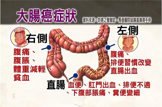 長壽密碼！中醫最愛的8種養生食物