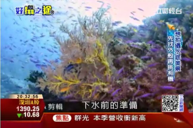 捕捉水底美景「不要藍綠」打光最重要