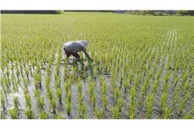 金鐘-農夫與他的田-臉書