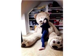 正妹、巨熊玩偶、好市多